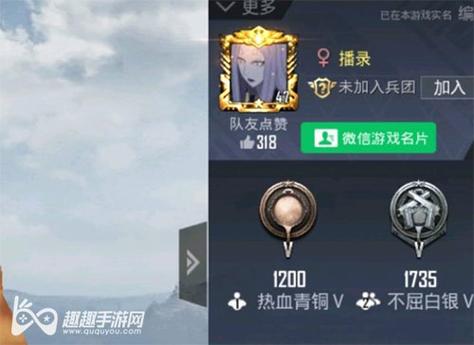 和平精英腾讯模拟器【青鸟】辅助外挂