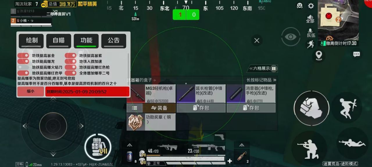 和平精英辅助软件的发展与影响分析