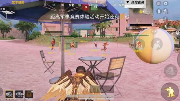 和平精英最新版辅助插件【AM内部】横空出世
